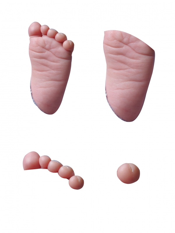 Creation of Home Sweet Home!: Step 1